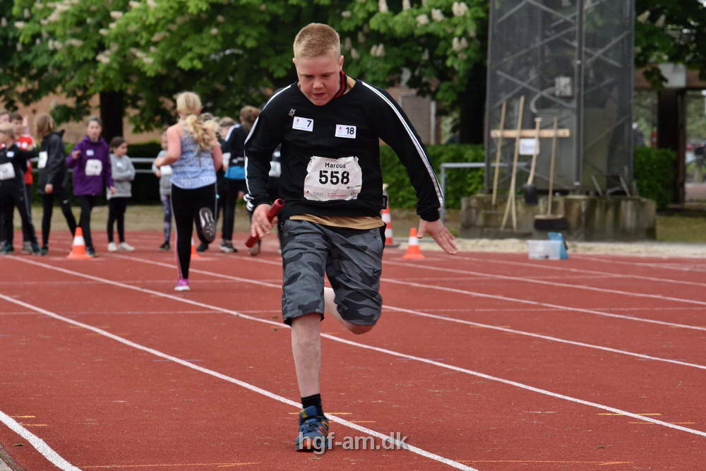 Billeder fra Skole OL 2019