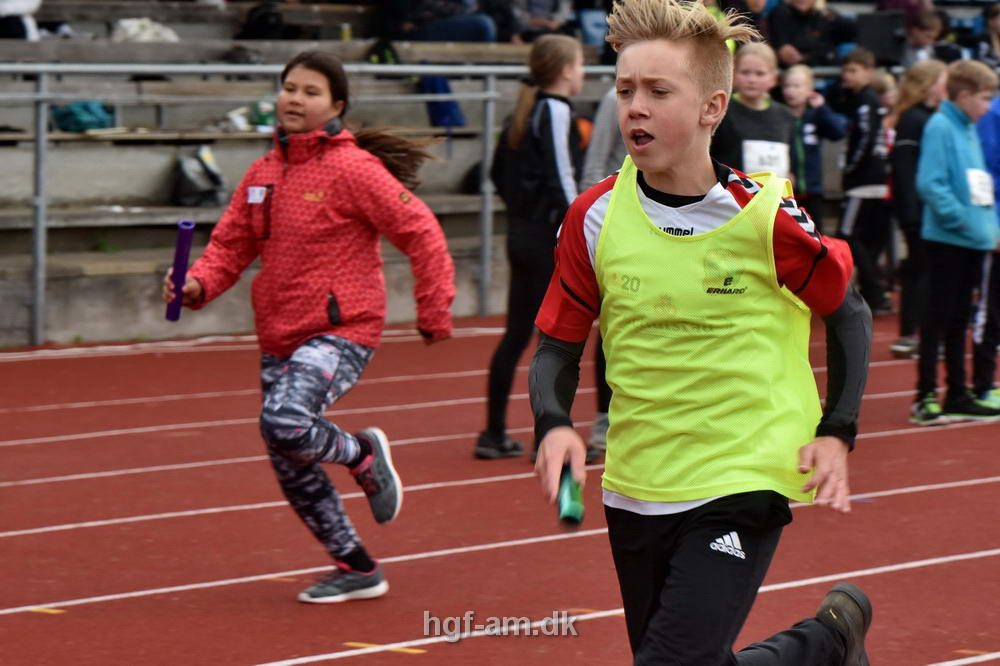 Billeder fra Skole OL 2019