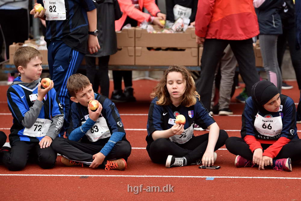 Billeder fra Skole OL 2019