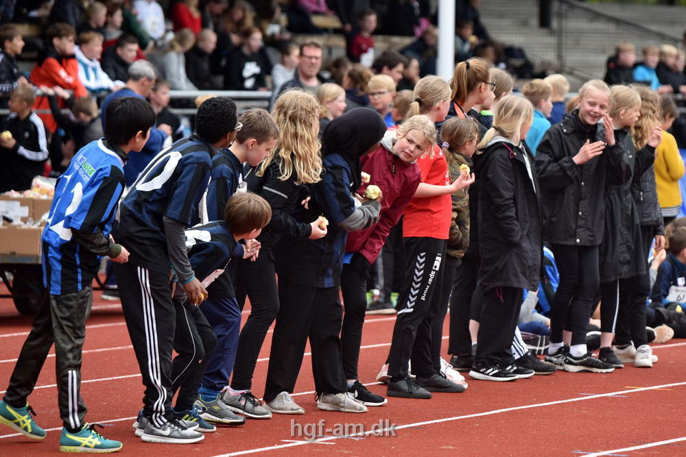 Billeder fra Skole OL 2019