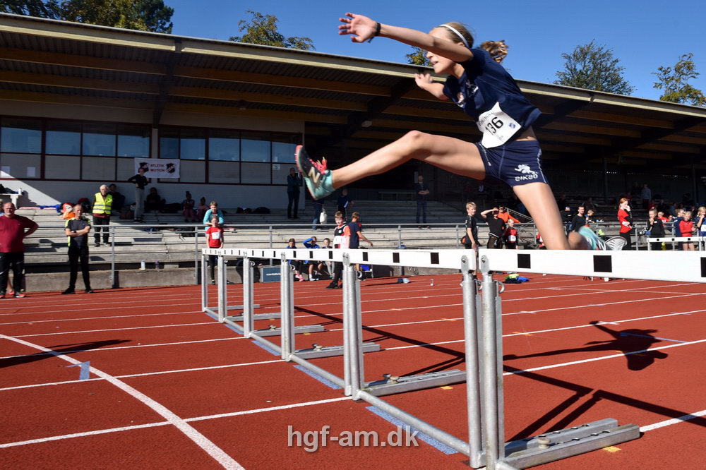 Billeder fra Vestdansk Holdmesterskab 2019