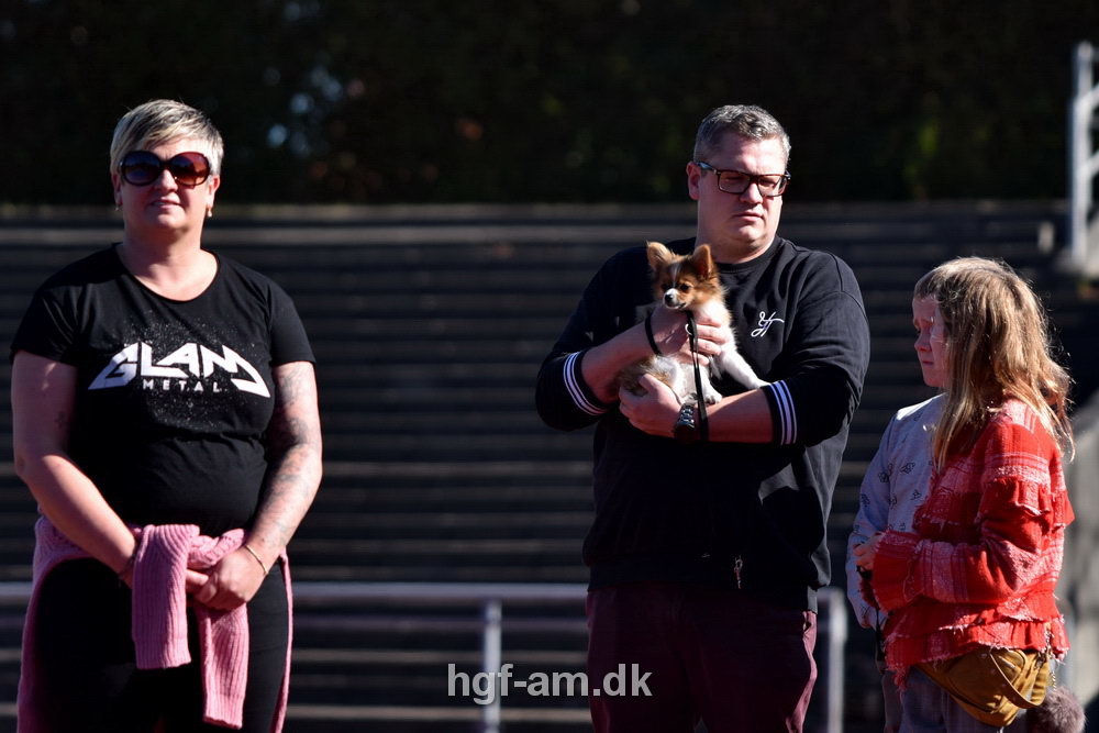Billeder fra Vestdansk Holdmesterskab 2019