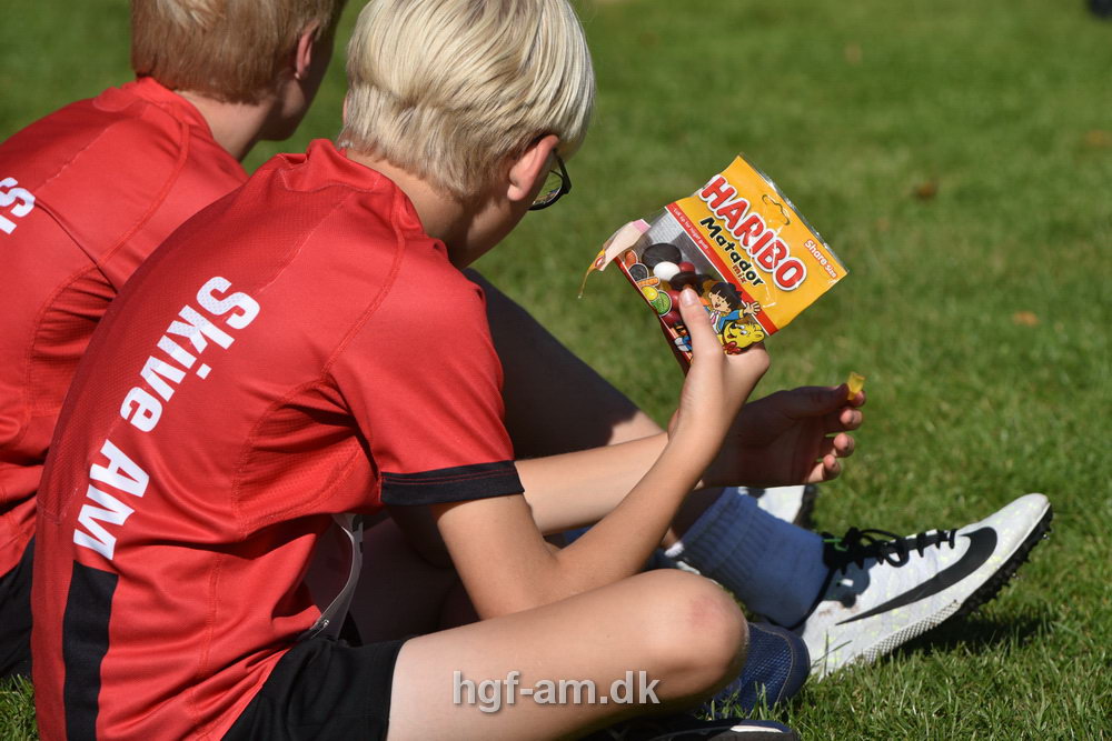 Billeder fra Vestdansk Holdmesterskab 2019