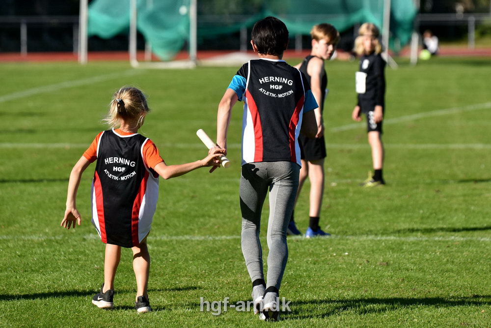 Billeder fra Vestdansk Holdmesterskab 2019
