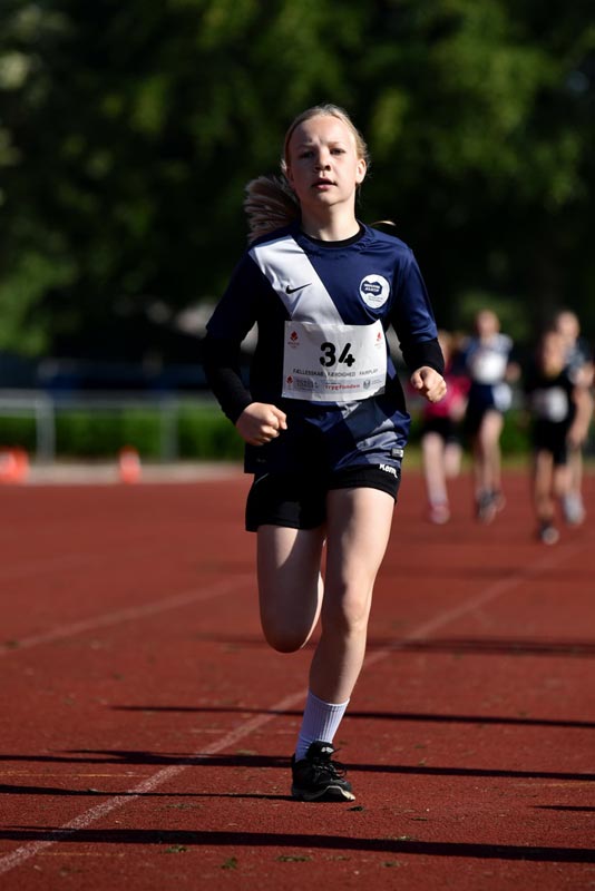 Billeder fra Skole ol 2018