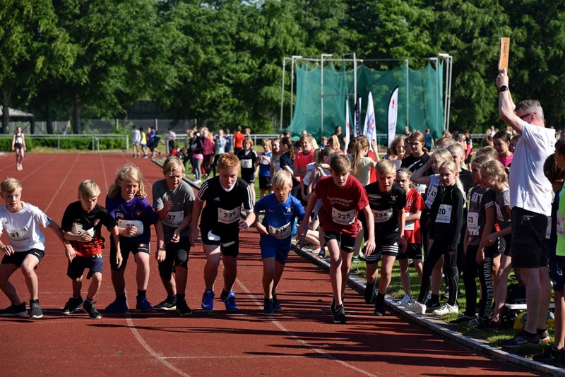 Billeder fra Skole ol 2018