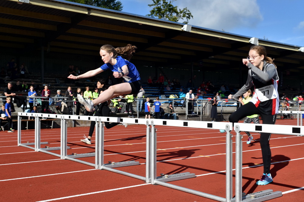 Billeder fra Vestdansk Holdmesterskab 25. september 2021