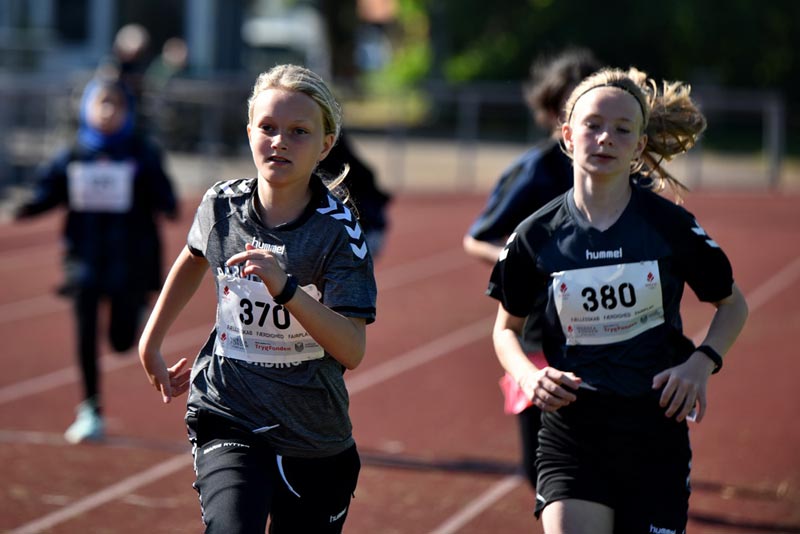 Billeder fra Skole ol 2018