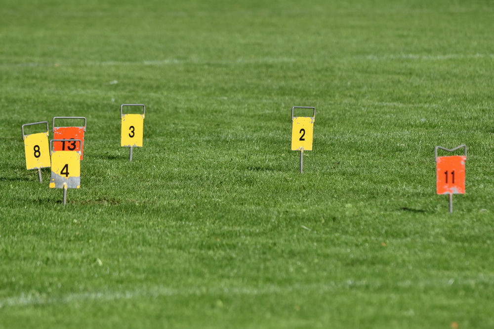 Billeder fra Vestdansk Holdmesterskab 25. september 2021