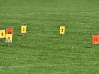 Billeder fra Vestdansk Holdmesterskab 25. september 2021