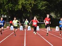 Billeder fra Vestdansk Holdmesterskab 25. september 2021