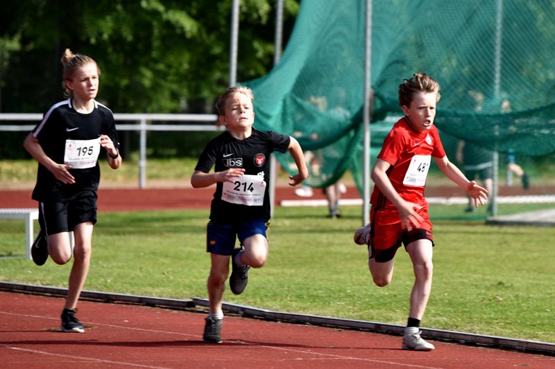 Billeder fra Skole ol 2018