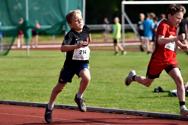 Billeder fra Skole ol 2018