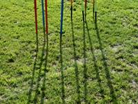 Billeder fra Vestdansk Holdmesterskab 25. september 2021