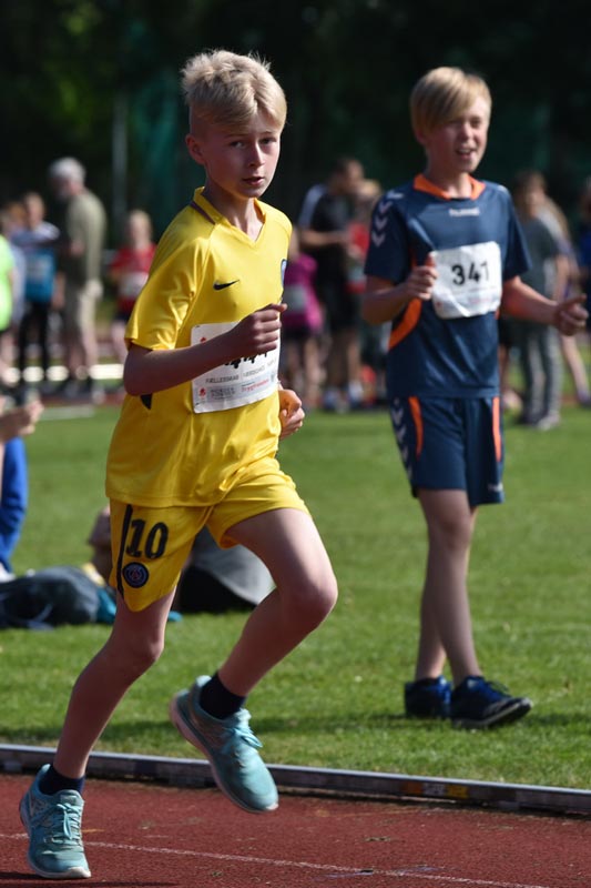 Billeder fra Skole ol 2018