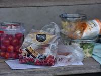 Billeder fra Vestdansk Holdmesterskab 25. september 2021