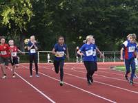 Billeder fra Vestdansk Holdmesterskab 25. september 2021