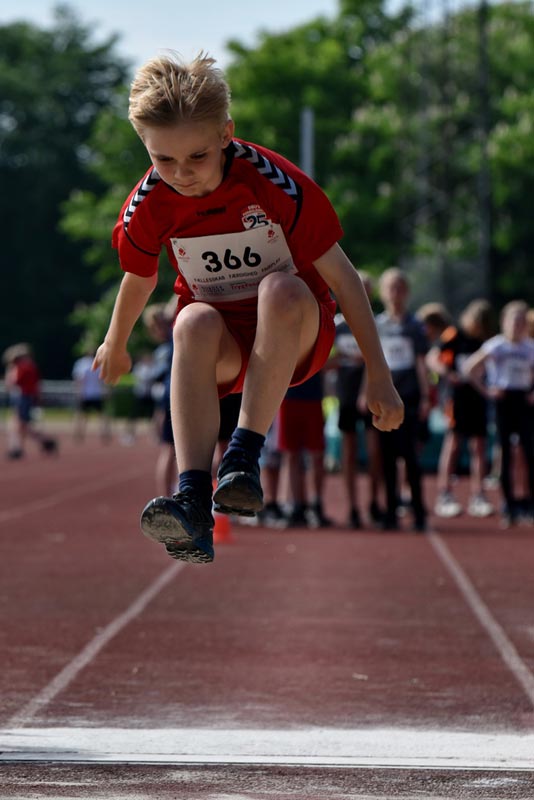 Billeder fra Skole ol 2018