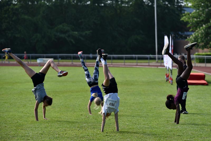 Billeder fra Skole ol 2018