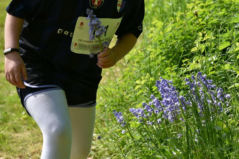 Billeder fra Skole ol 2018