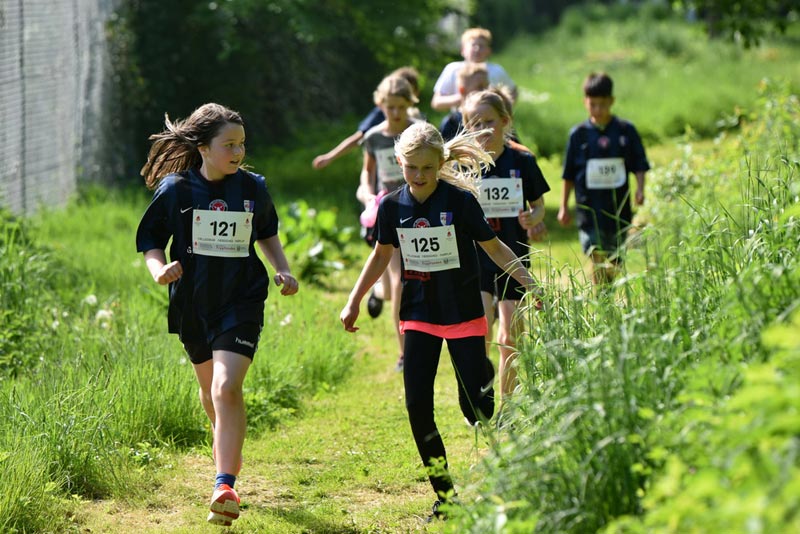 Billeder fra Skole ol 2018