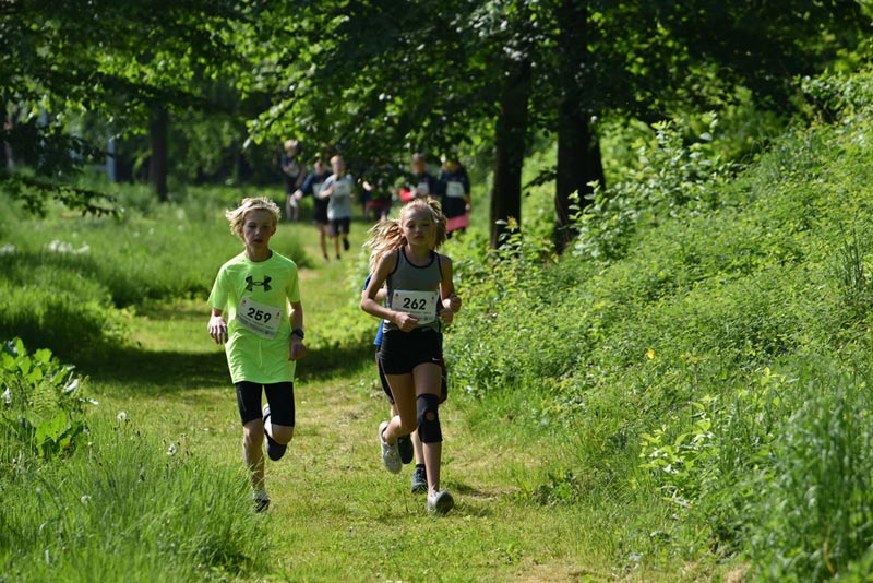 Billeder fra Skole ol 2018