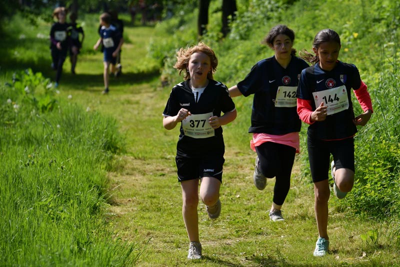 Billeder fra Skole ol 2018