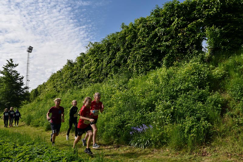 Billeder fra Skole ol 2018