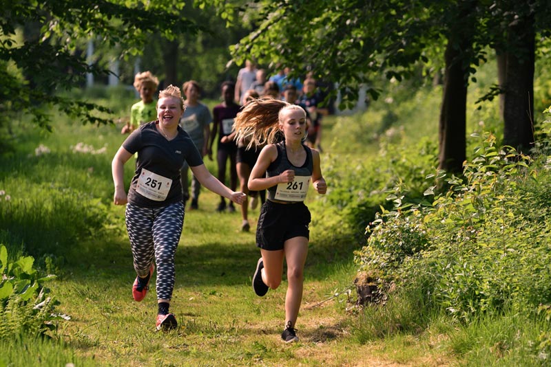Billeder fra Skole ol 2018