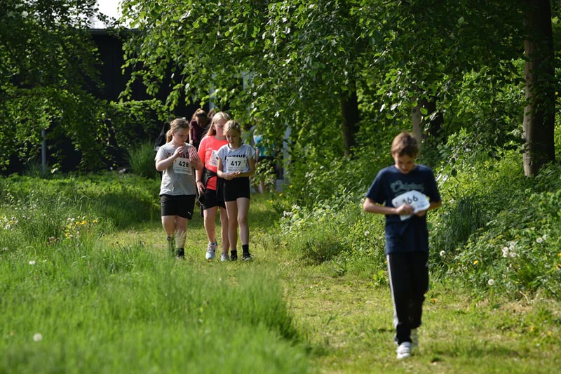 Billeder fra Skole ol 2018