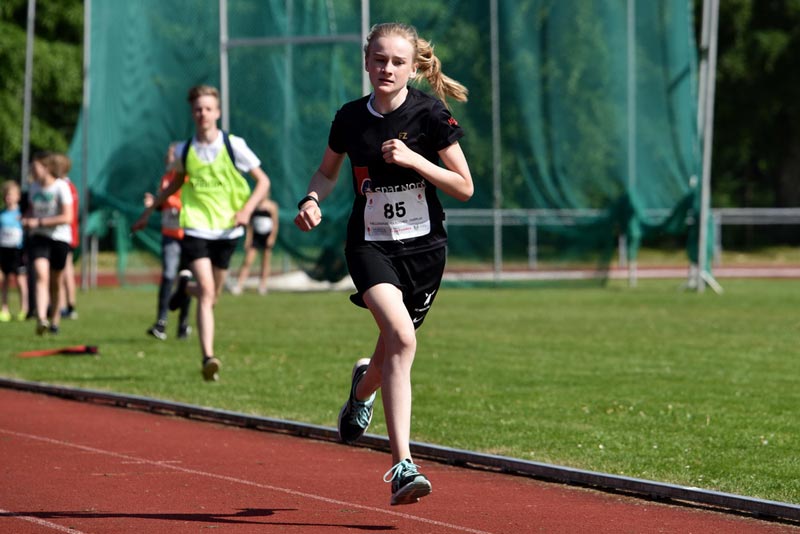 Billeder fra Skole ol 2018