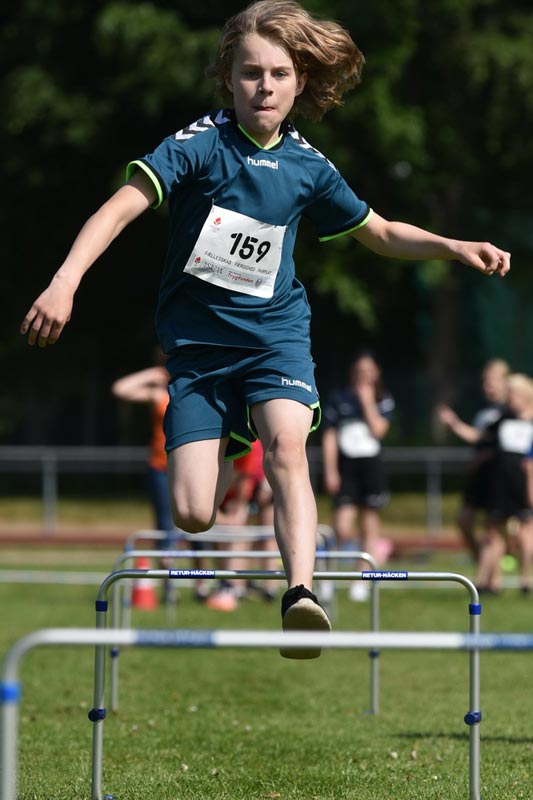 Billeder fra Skole ol 2018