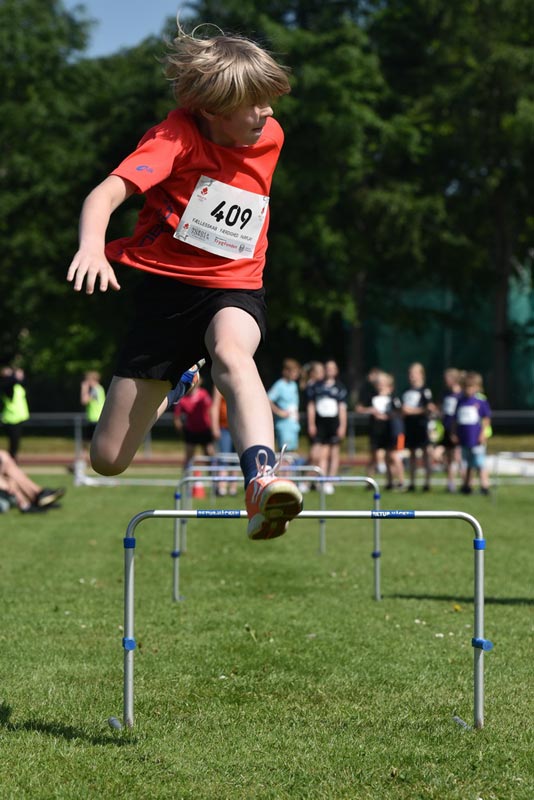 Billeder fra Skole ol 2018