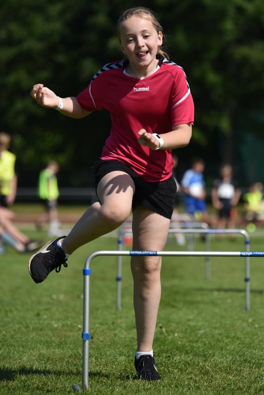 Billeder fra Skole ol 2018