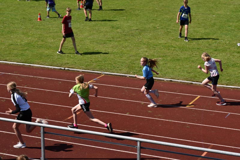 Billeder fra Skole ol 2018