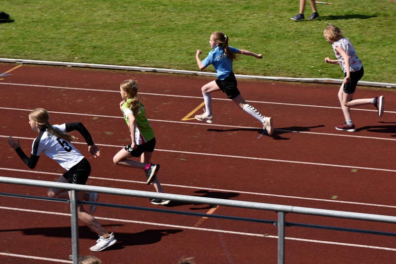 Billeder fra Skole ol 2018