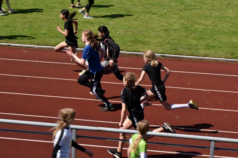 Billeder fra Skole ol 2018