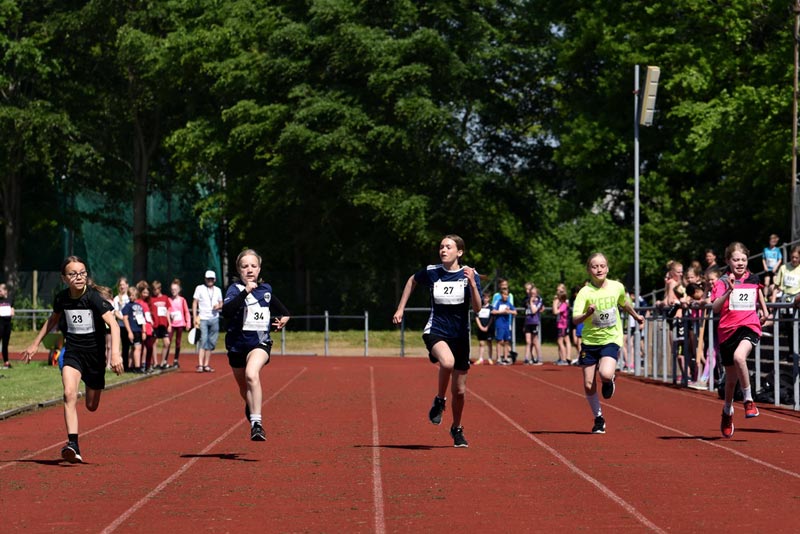 Billeder fra Skole ol 2018