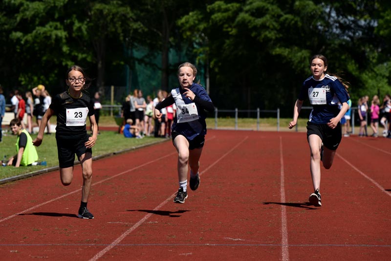 Billeder fra Skole ol 2018