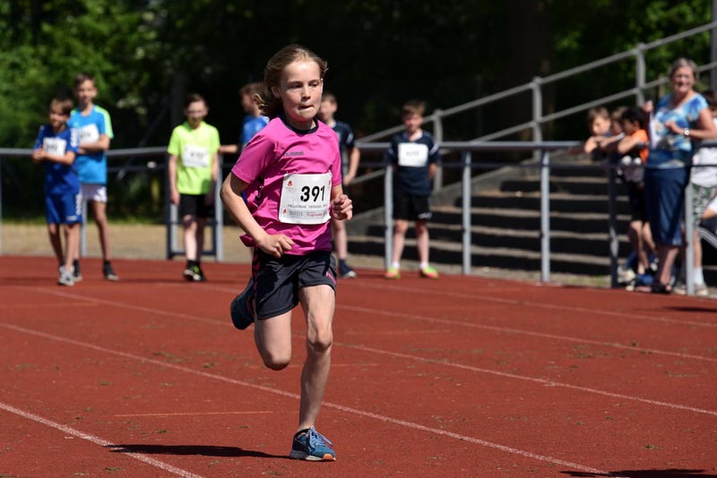 Billeder fra Skole ol 2018