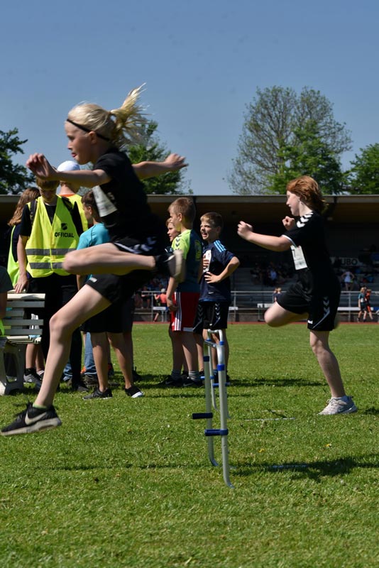 Billeder fra Skole ol 2018