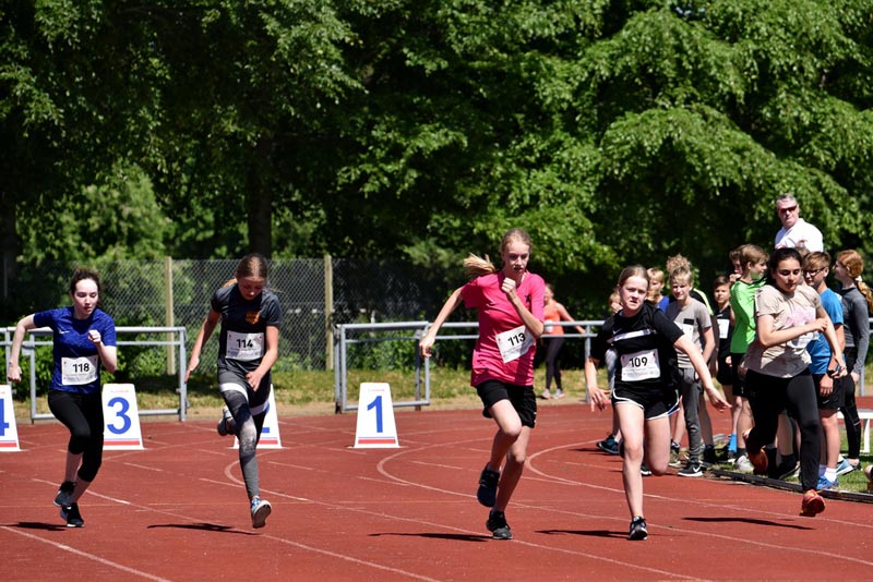 Billeder fra Skole ol 2018