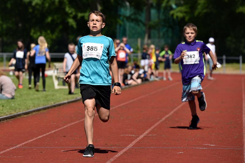 Billeder fra Skole ol 2018