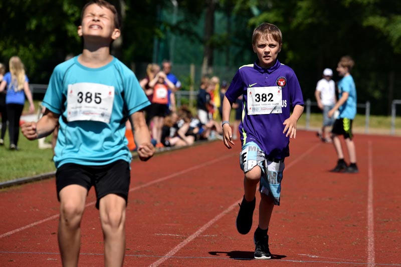 Billeder fra Skole ol 2018