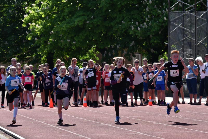 Billeder fra Skole ol 2018