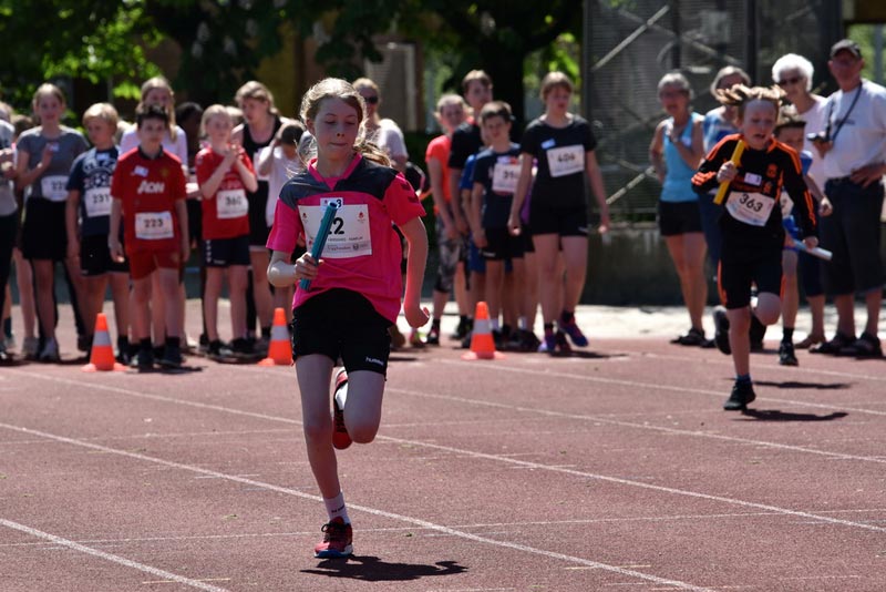 Billeder fra Skole ol 2018