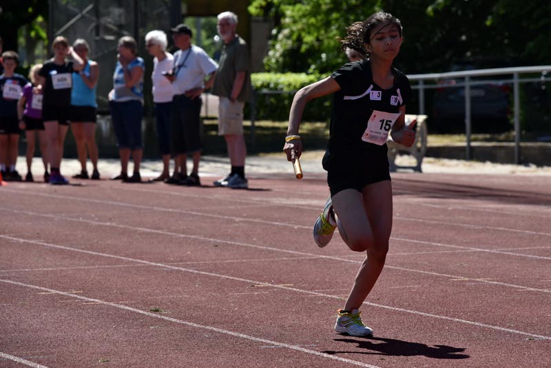 Billeder fra Skole ol 2018