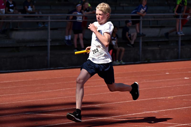 Billeder fra Skole ol 2018