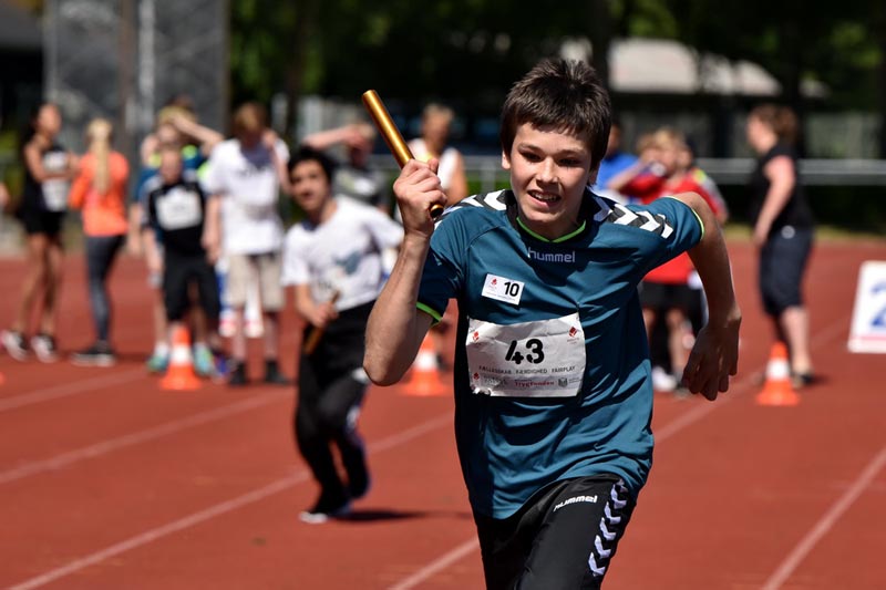 Billeder fra Skole ol 2018