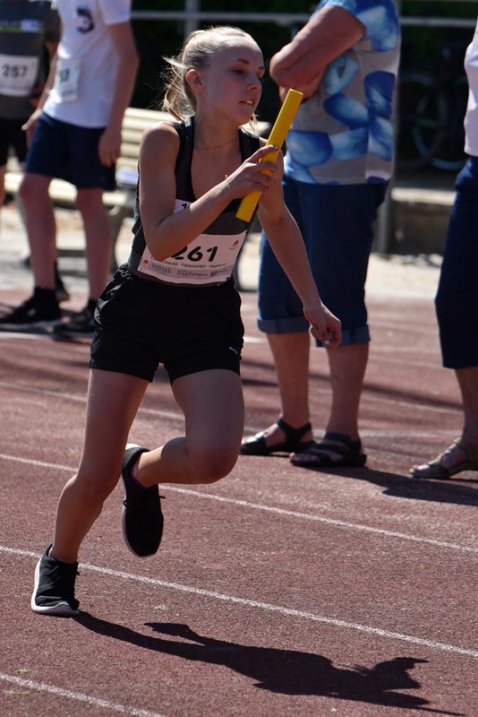 Billeder fra Skole ol 2018